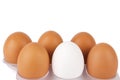 Eggs Royalty Free Stock Photo