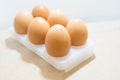 Eggs on white tray Royalty Free Stock Photo