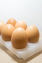 Eggs on white tray Royalty Free Stock Photo