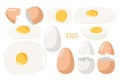 Eggs. Whole and broken, boiled and fried eggs, cracked shell. Vector food ingredient isolated on white background. Flat Royalty Free Stock Photo