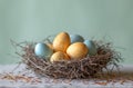 Eggs with yellow and blue colors sitting on a nest , easter nests photo