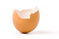 Eggshell Royalty Free Stock Photo