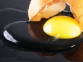 eggshell is broken and the contents of egg flowed out Royalty Free Stock Photo