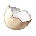 The eggshell is brown. The illustration is made by hand in watercolor. Highlight it. Half an eggshell. For the design of Royalty Free Stock Photo