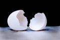 Eggshell cracked in half Royalty Free Stock Photo