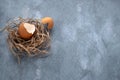Eggshell in the nest