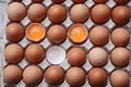 Eggshell uncook in egg panel background, good nutrition