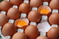 Eggshell uncook in egg panel background, good nutrition