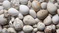 Eggshell White Stone Texture Background for Elegant Designs.