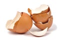 Eggshells Royalty Free Stock Photo