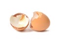 Eggshells