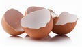eggshells