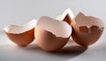 eggshells