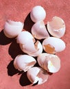 Eggshells egg shell shells of eggs broken egg outer covering semipermeable membrane made up of calcium carbonate coquilles photo Royalty Free Stock Photo