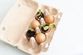 Eggshells with fresh sprouts and soil. Garden beds at home. Growing vegetables, zero waste