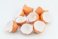 Eggshells on white background Royalty Free Stock Photo