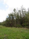 EggstÃ¤tter Seenplatte in Bavaria in the spring time