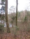 EggstÃ¤tter Seenplatte in Bavaria in the spring time