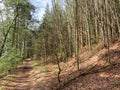 EggstÃ¤tter Seenplatte in Bavaria in the spring time