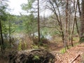 EggstÃ¤tter Seenplatte in Bavaria in the spring time