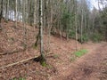 EggstÃ¤tter Seenplatte in Bavaria in the spring time