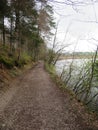 EggstÃ¤tter Seenplatte in Bavaria in the spring time