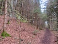 EggstÃ¤tter Seenplatte in Bavaria in the spring time