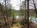 EggstÃ¤tter Seenplatte in Bavaria in the spring time