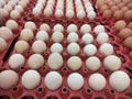Eggstravaganza: A Container Full of Fresh Eggs