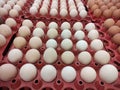 Eggstravaganza: A Container Full of Fresh Eggs Royalty Free Stock Photo