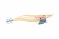 Egi squid jig fishing lure