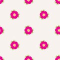 Eglantine seamless pattern Royalty Free Stock Photo