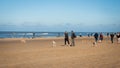 Egmond-aan-Zee, Netherlands - 2016-04-10: Letting out the gazehounds on the Northsea beach Royalty Free Stock Photo