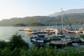 A marina full of boats surrounded by a beautiful calm ocean and forested shores, outside Egmont on the Sunshine Coast