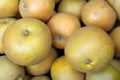 Egremont Russet dessert apples