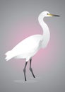 Egret