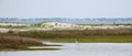 Egret feeding in Bogue Sound