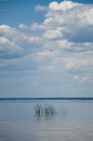 Egret flies over the river Royalty Free Stock Photo