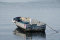 Egret floating in a boat in the Sarasota Bay, Florida Royalty Free Stock Photo