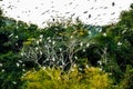 Egret flock inside Thung Nham natural reserve Royalty Free Stock Photo