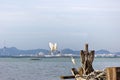 Egret is waiting prey in old fishing boat at seaside, nature Royalty Free Stock Photo