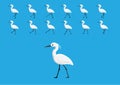 Egret Walking Motion Animation Sequence Cartoon Vector Illustration