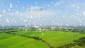 egrets fly over the green and beautiful rice fields