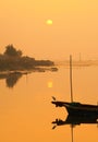 Egrets play in sunset Royalty Free Stock Photo