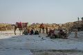 Egypt. April 2019. Tourist camels, camel guides and tourists