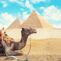 Egypt Cairo - Giza Royalty Free Stock Photo