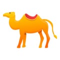 Egypt camel icon, cartoon style