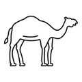 Egypt camel icon, outline style