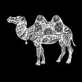 Egypt camel vector desert illustration animal nature travel sand