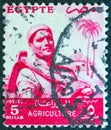 EGYPT - CIRCA 1954: A stamp printed in Egypt from the `Agriculture` issue shows a farmer, circa 1954. Royalty Free Stock Photo